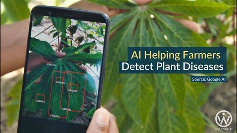 Ai Helping Farmers Detect Plant Diseases Youtube