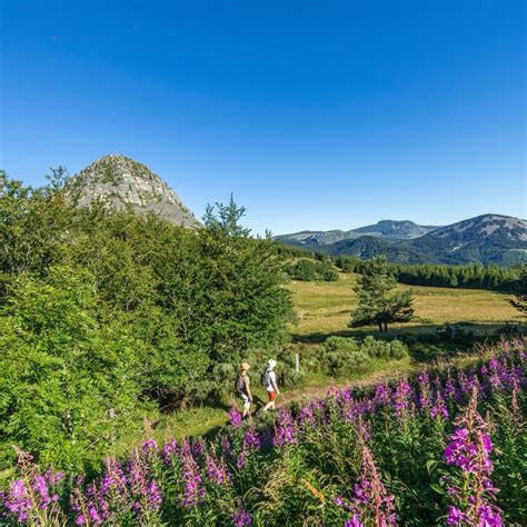 Auvergne Tourisme On Twitter Rt Otpuyenvelay Retour Aux Sources