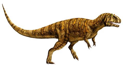 Metriacanthosaurus | Dinosaur Wiki | FANDOM powered by Wikia