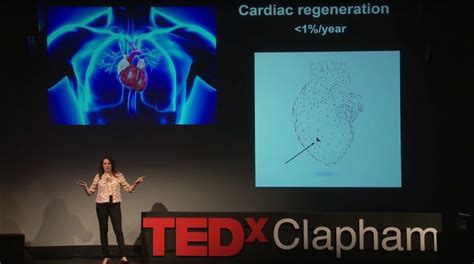 Building A Heart One Cell At A Time Imperial Medicine Blog