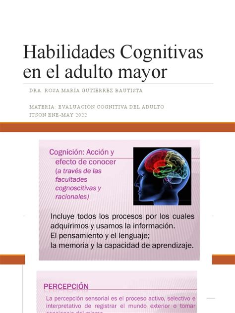 Habilidades Cognitivas Erne L Adulto Mayor Pdf