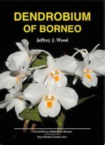 Dendrobium Of Borneo Natural History Publications Borneo