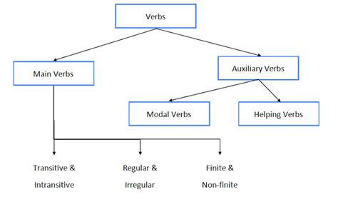 verb classification english language notes teachmint