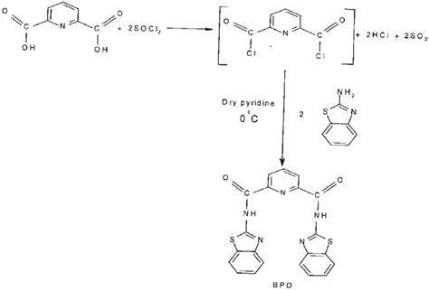 Scheme 1 Synthetic Route Of Ligand Bpd Download Scientific Diagram