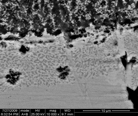 Cross Sectional Morphologies Of Ss Corroded At K In Li Na K