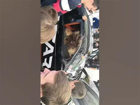 Автозвук тюмень 2019 аватар - YouTube