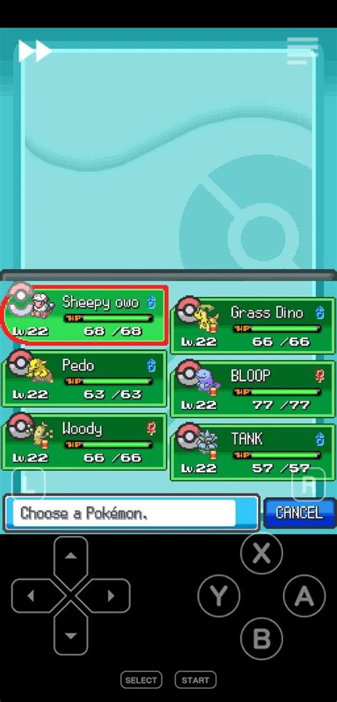 What Do Yall Think Of My Current Hgss Team Fandom