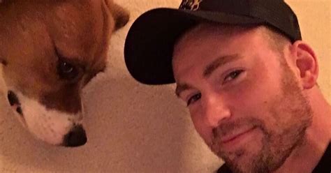 Chris Evans Has a Chest Tattoo of His Dog Dodger's Name | POPSUGAR Beauty