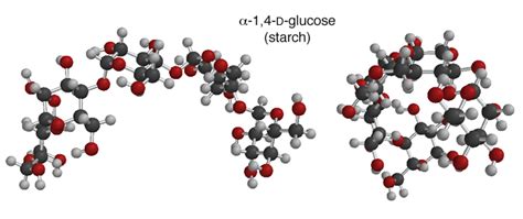 MOTD Polysaccharides