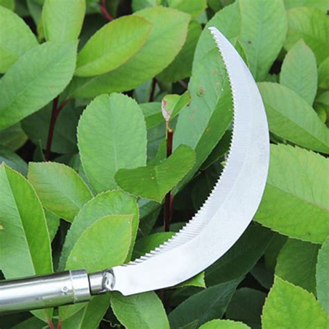 Stainless Steel Mowing Sickle With Teeth Remove Aquatic Plants Cutter