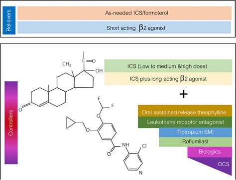 Frontiers Phosphodiesterase 4 Inhibitors For Non Copd Respiratory Diseases