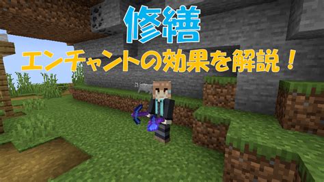 【マイクラ】「棘の鎧」の効果と特徴！遠距離攻撃にも効果が発揮します ビビアンのマイクラ攻略ブログ