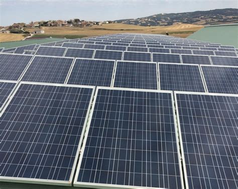 Energ A Solar Fotovoltaica De Autoconsumo En Cooperativa Agropecuaria