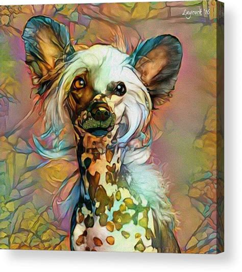 Chinese Crested Acrylic Print Featuring The Digital Art Chinese Crested