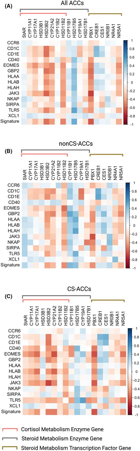 Expression Correlations Between Prognostic Differentially Expressed