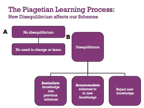 Piaget Equilibritation And Disequilibrium Flash Sales Welcome