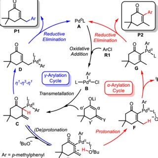 Pdf Insights Into The Mechanism And Regioselectivity Of Palladium