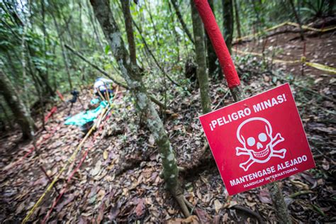 La Lutte Contre Les Mines Antipersonnel Se Poursuit Face Leur