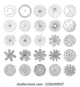 Tree Top Tree Plan Free Hand Stock Vector Royalty Free