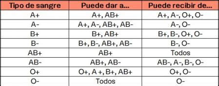Grupos sanguíneos cuáles hay y cómo influyen en tu salud