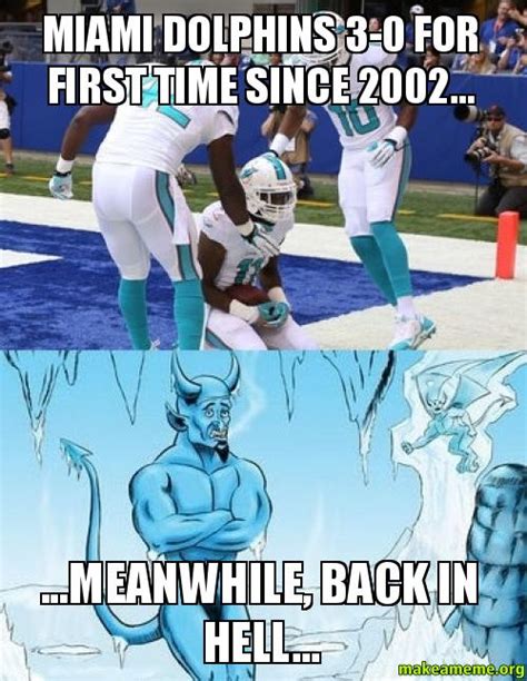 Miami dolphins Memes