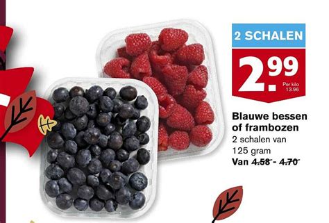 Blauwe Bessen Of Frambozen Aanbieding Bij Hoogvliet Folders Nl