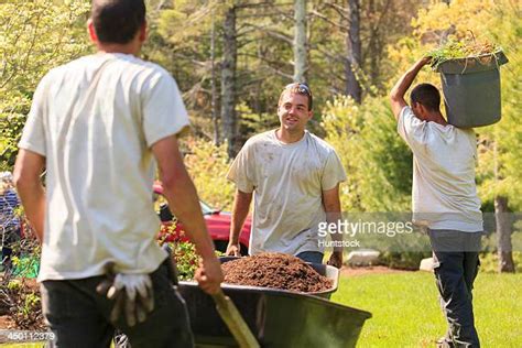 Mulch Wheelbarrow Photos And Premium High Res Pictures Getty Images