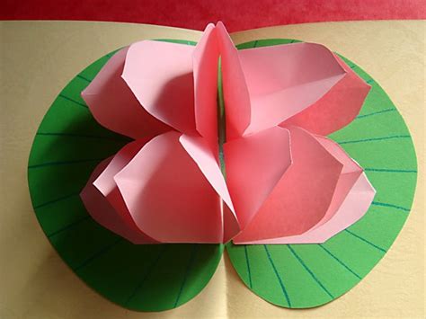 Lotus flower pop up card