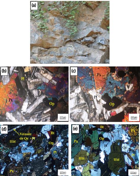 Macroscopic And Microscopic Aspects Of Gabbros A Macroscopic