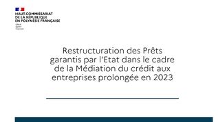 Restructuration Des Pr Ts Garantis Par L Tat Dans Le Cadre De La