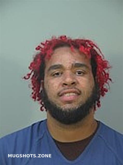 Nelson Brandon Lee 07032023 Dane County Mugshots Zone