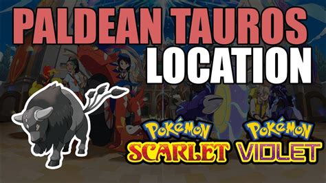 How To Get Paldean Tauros In Pokemon Scarlet And Violet Youtube