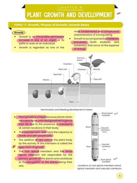 Plant Growth and Development | Download Free PDF | Plant Hormone | Auxin