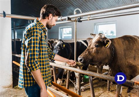 Trabalho rural o que é Quais são as profissões Veja