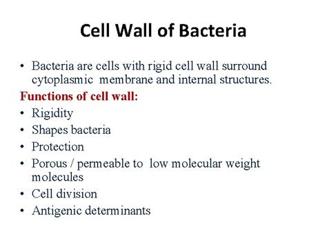 Bacterial Structure Function Genetics Prof Hanan Habib College