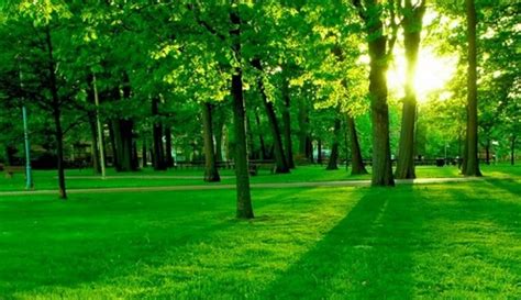 natuer sukanto tanoto