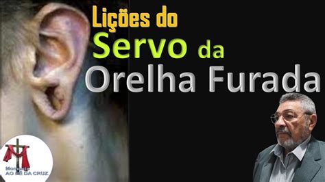 Li Es Do Servo Da Orelha Furada Youtube