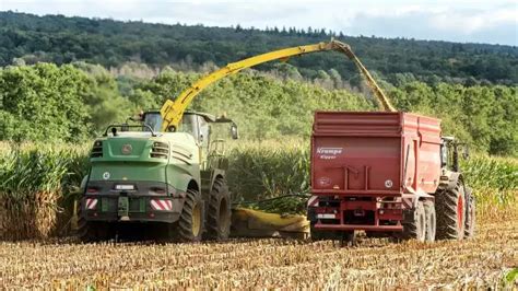 Stawka dla kierowcy ciągnika przy zbiorze kukurydzy na kiszonkę