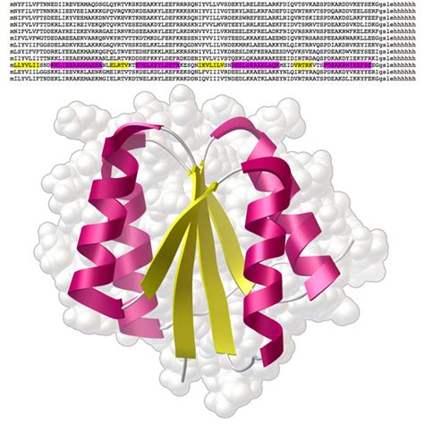 Pdb 101 Learn Structural Biology Highlights Designer Proteins