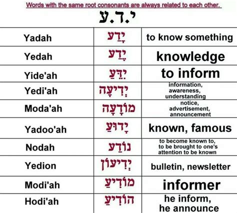 Hebrew Vocabulary Hebrew Lessons Learn Hebrew