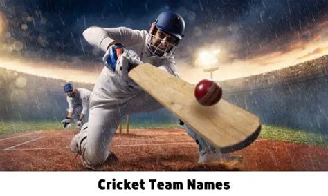 Cricket Team Names For Your Next Match