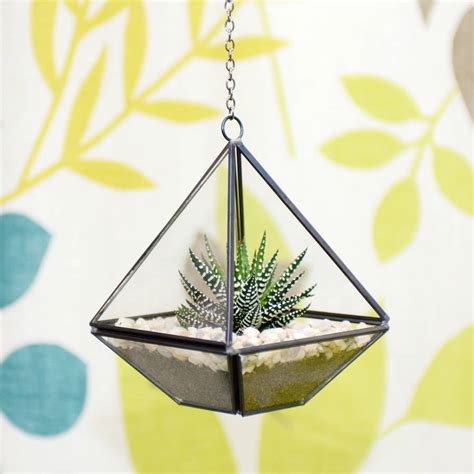 Mini Geometric Glass Vase Succulent Terrarium Kit By Dingading