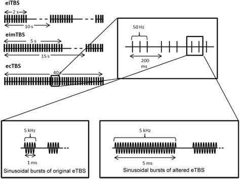 Schematic Illustration Of The Electrical Theta Burst Stimulation