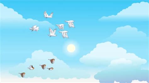 Birds, Flock, Flying. Free Stock Video - Pixabay