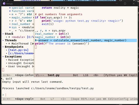 python debugging views
