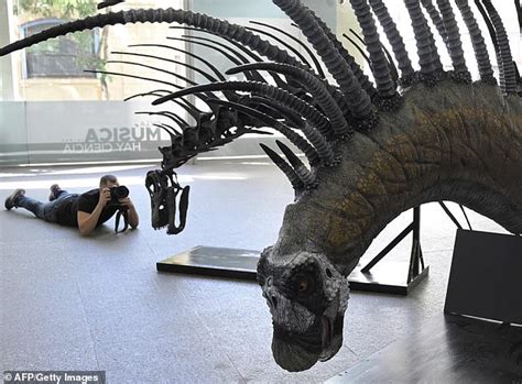 Dinosaur Found With Spikey Backbones Used Them Like Horns And To Appear More Sexually