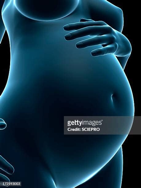 Stages Of Labour High Res Illustrations - Getty Images