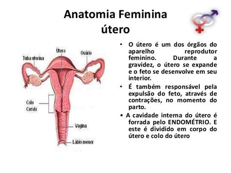 Sexualidade Humana Palestra