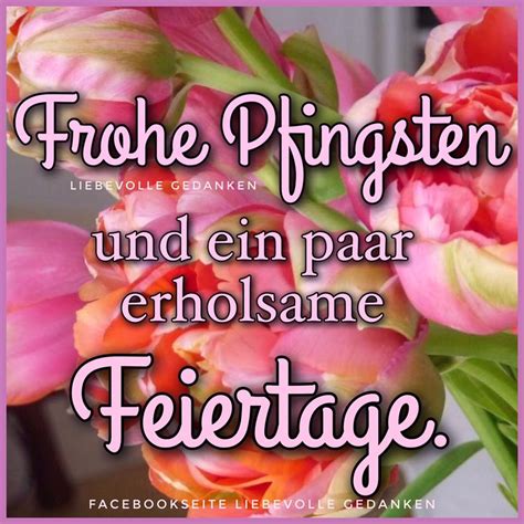 Kostenlos Guten Morgen Whatsapp Sch Ne Pfingsten Bilder Pfingsten