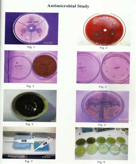 Drugs Showing Anti Microbial Activity Against Staph Aureus Compared Download Scientific